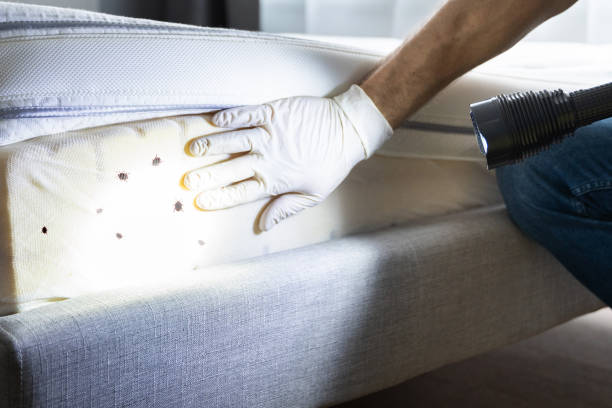 Best Pest Removal Services  in Kathleen, FL