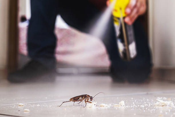 Pest Control for Restaurants in Kathleen, FL