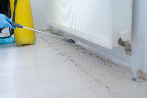 Best Insect Control  in Kathleen, FL