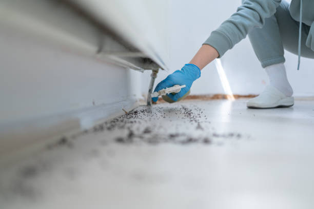 Professional Pest Control in Kathleen, FL